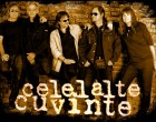 Celelalte Cuvinte concertează acustic la Gradina Verona