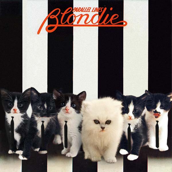 2012BlondieKitten 10