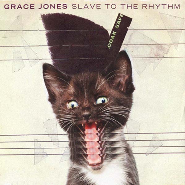 2012GraceJonesKitten 6