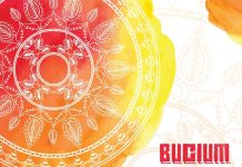 Bucium ne (în)cântă de Sânziene cu un concert în club Fabrica!