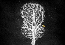 Vita de Vie lansează single-ul “Pe plaja-n Vama la 5”