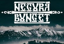 NEGURA BUNGET – SHOW ANIVERSAR 20 ANI