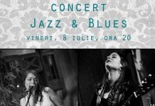 Concert: Jazz & Blues, vineri, 8 iulie la Ceainăria La un Ceai
