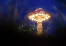 Save the date…În 19-21 august ne vedem la Durușa, pe meleaguri moroșene