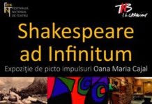 Expozitii in FNT 2016