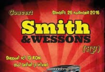 Manufactura sarbatoreste 7 ani cu party si un concert cu maghiarii de la Smith & Wessons