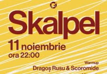 Pe 11 Noiembrie, trupa Skalpel din Polonia ajunge in Romania si se opreste pe scena de la Jazz Pong
