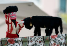 Start Euromarionete Arad 2017!