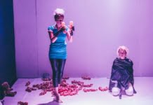 Au fost puse în vânzare biletele la FEST – FDR2017. Urmează 12 zile de teatru