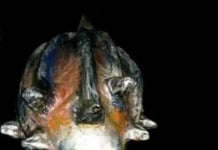 Artiștii mexicani care i-au transformat în himere pe membrii trupei Rammstein aduc lumi fantastice în Piața Mică din Sibiu!