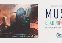 Grădini posibile, artă urbană și terapii verzi la Street Delivery Baia Mare