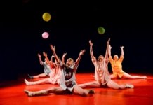 Spectacole invitate pe scena Galei HOP 2017