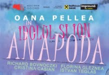 Spectacolul “Idolul și Ion Anapoda”, o nouă reprezentație, la Sala Mare, ARCUB
