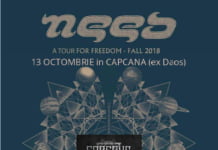 Trupa NEED cânta la Timisoara