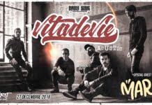 Vița de Vie – Noapte Acustică, visul unei nopti de iarna