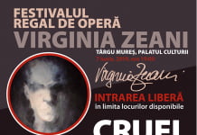 DE LA MOZART LA DEATH METAL Opera rock “Cruel” va avea premiera mondială la Târgu Mureș, în cadrul Festivalului Regal de Operă “Virginia Zeani”