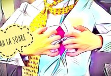 Les Elephants Bizarres lanseaza piesa #InimaLaSoare