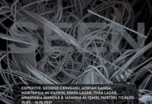 SEEN. Un spațiu contemporan unde tema originalității ajunge să fie chestionată și abandonată