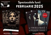 Program Teatrul Naţional de Operetă şi Musical “Ion Dacian” – luna februarie 2025