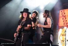 Artmania 2025- doua zile cu muzica si voie buna in Sibiu