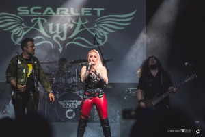 IMG_8865