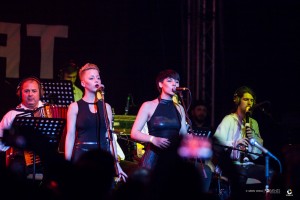 IMG_8602  