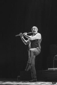 IMG_7381