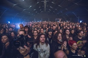 IMG_1993