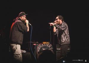IMG 7919