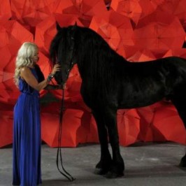 exclusiv-libertatea.ro-iata-noul-videoclip-anda-adam-say-goodbye exclusiv-libertatea.ro-iata-noul-videoclip-anda-adam-say-goodbye