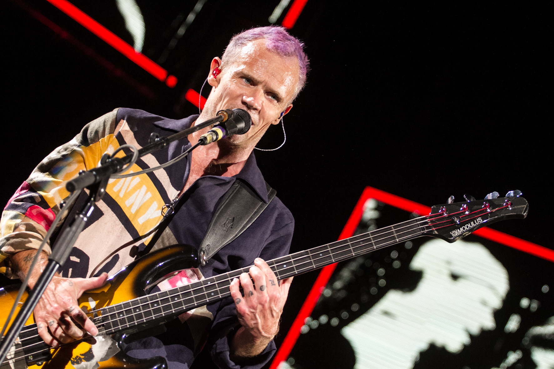 Concert Red Hot Chili Peppers in imagini