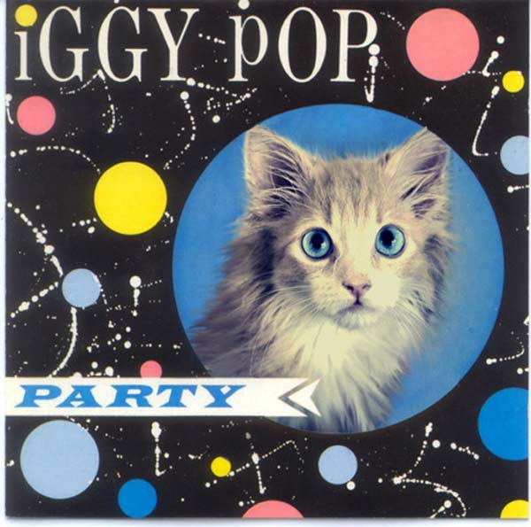 2012IggyPopKitten 5