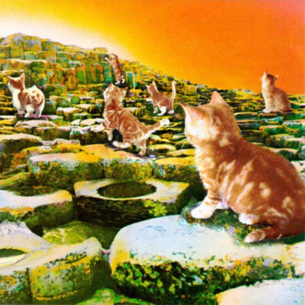 2012LeddZeppKitten 2