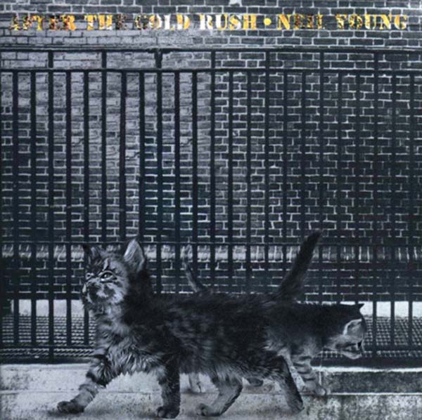 2012NeilYoungKittens 26