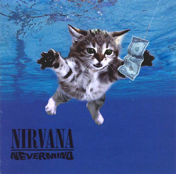 2012NevermindKitten 25