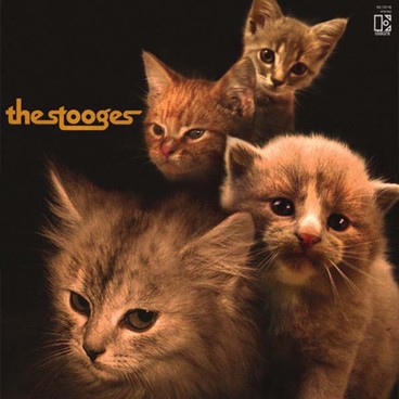 2012Stooges_Kittens 16