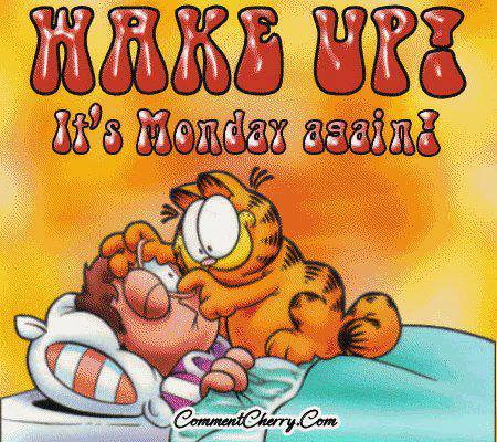 Linie speciala B’ESTFEST Summer Camp