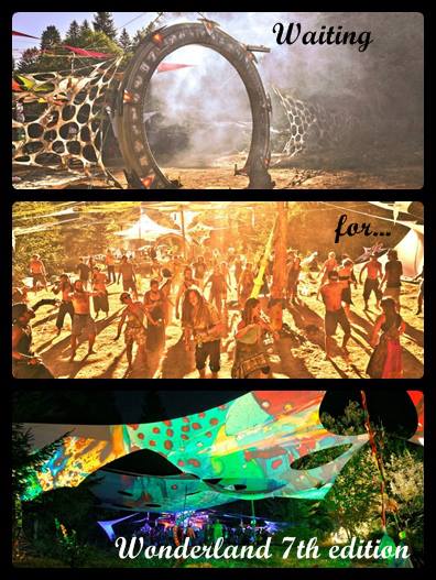 Transylvania is Calling for you Muzica, arta si natura la Transylvania Calling 2013