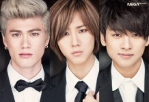 PROGRAM LUNAFLY in Romania