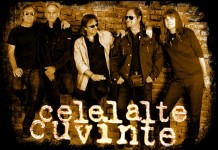 Celelalte Cuvinte concertează acustic la Gradina Verona