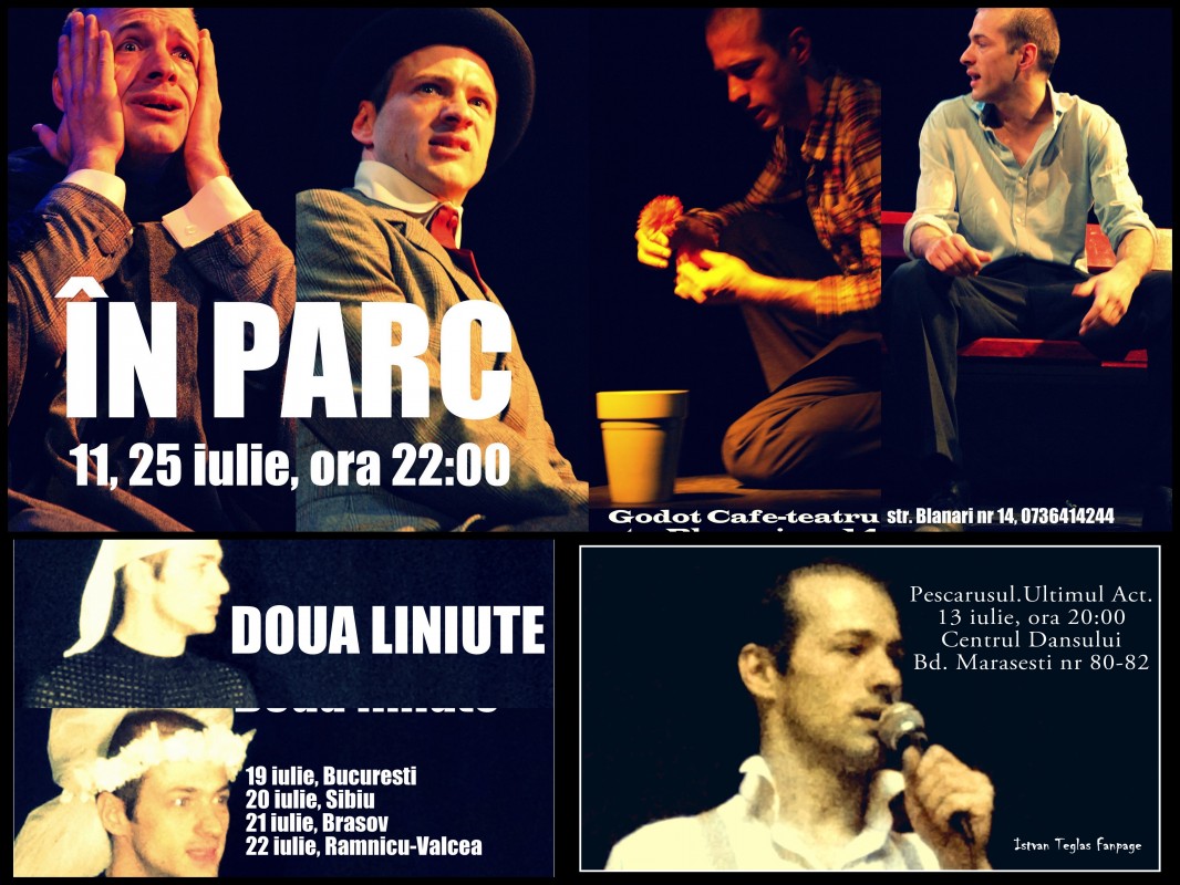 teatru-performance-iulie 2014
