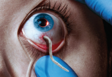 8 seriale asteptate in vara lui 2014