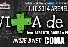 15 ANI DE „FENOMENTAL” CU VITA DE VIE & FRIENDS