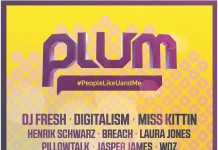 Bilete de o zi in numar limitat pentru PLUM Festival!