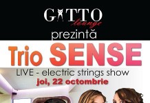 Concert SENSE la Gatto Lounge