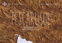 Pescarusul” si “Arlechino moare?”, se joaca din nou la Teatrul Bulandra