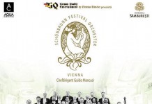 Concert Schoenbrunn Palace Festival Orchestra Vienna la Sala Palatului
