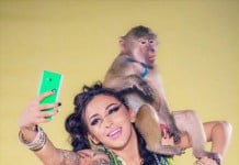 5 dintre cele mai populare 10 videoclipuri in 2015 apartin Cat Music