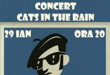 Concert La un Ceai: Cats in the Rain, vineri, 29 ianuarie