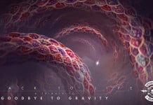 Compilatia Back to Life – A Tribute to Goodbye to Gravity